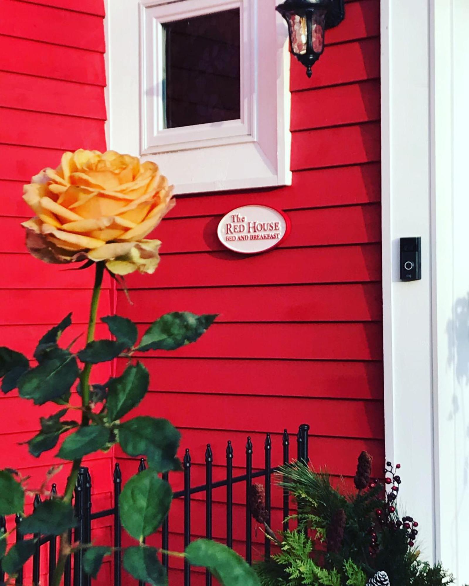 The Red House Fredericton Bed & Breakfast Exterior foto